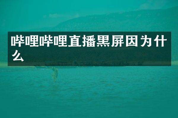 哔哩哔哩直播黑屏因为什么