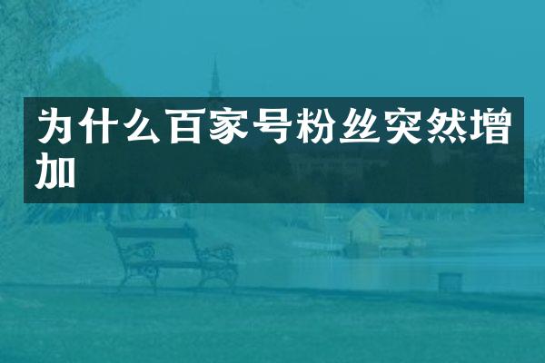 为什么百家号粉丝突然增加