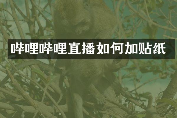 哔哩哔哩直播如何加贴纸
