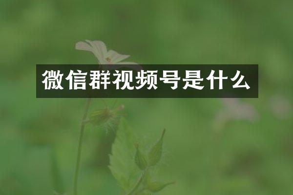 微信群视频号是什么