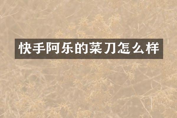 快手阿乐的菜刀怎么样
