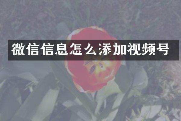 微信信息怎么添加视频号