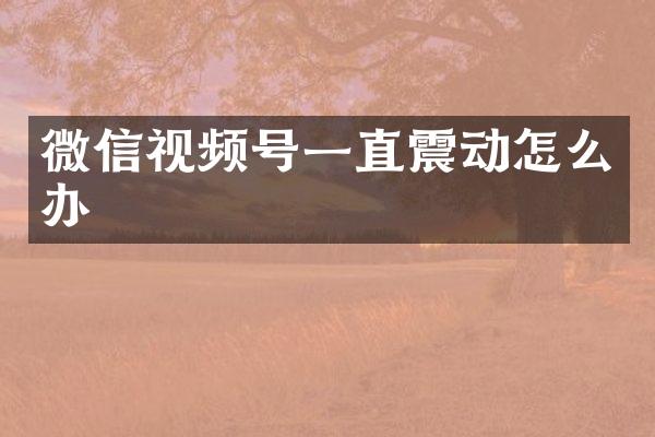 微信视频号一直震动怎么办
