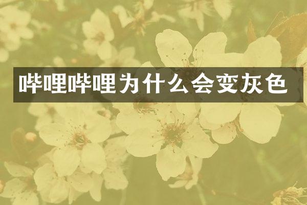哔哩哔哩为什么会变灰色