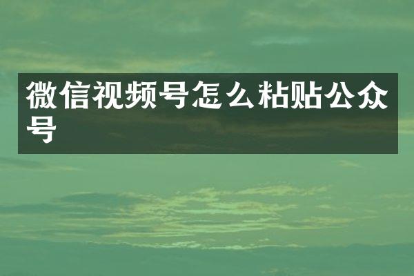 微信视频号怎么粘贴公众号