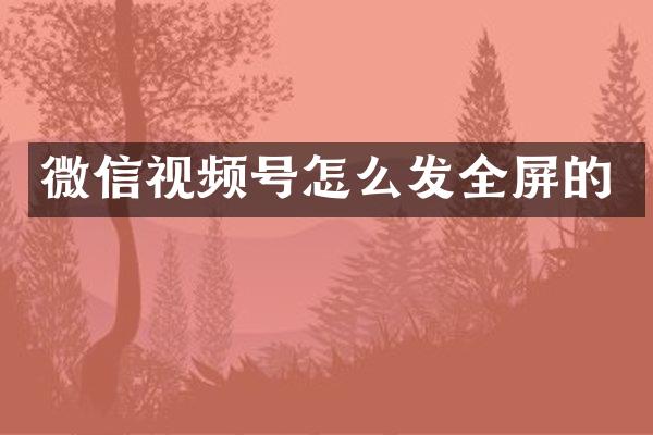 微信视频号怎么发全屏的