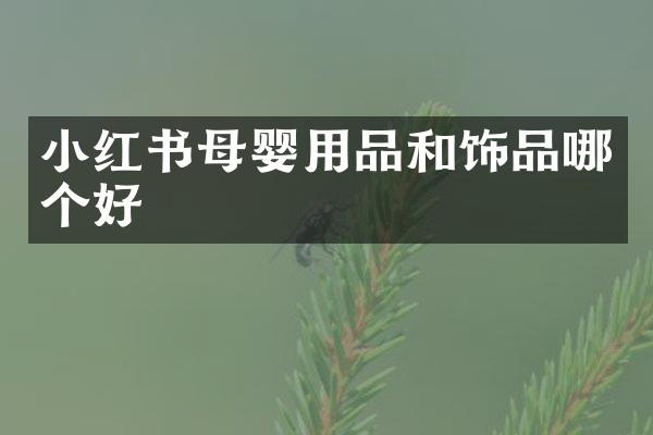 小红书母婴用品和饰品哪个好