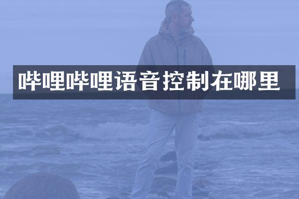 哔哩哔哩语音控制在哪里
