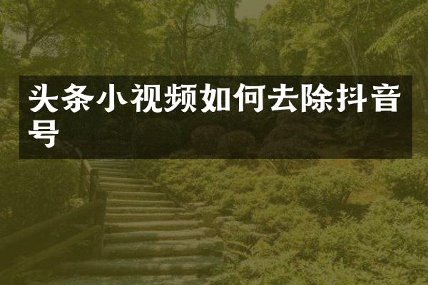 头条小视频如何去除抖音号