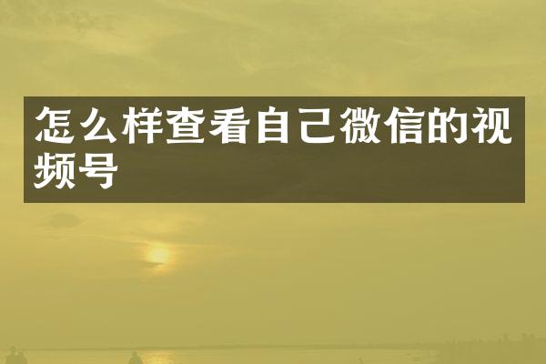 怎么样查看自己微信的视频号