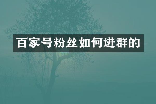 百家号粉丝如何进群的