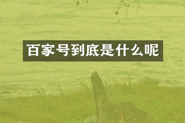 百家号到底是什么呢