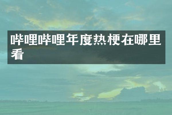 哔哩哔哩年度热梗在哪里看