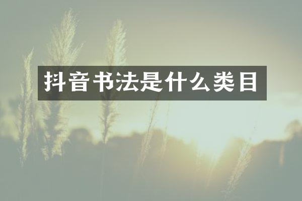 抖音书法是什么类目