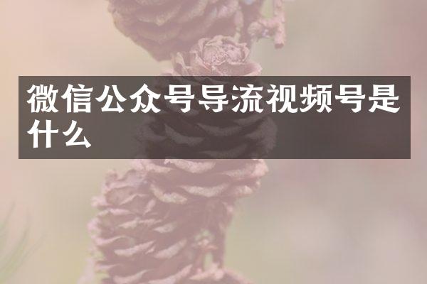 微信公众号导流视频号是什么