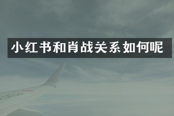 小红书和肖战关系如何呢