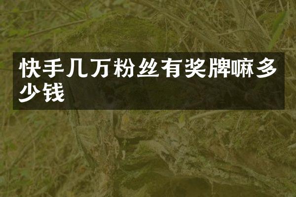 快手几万粉丝有奖牌嘛多少钱
