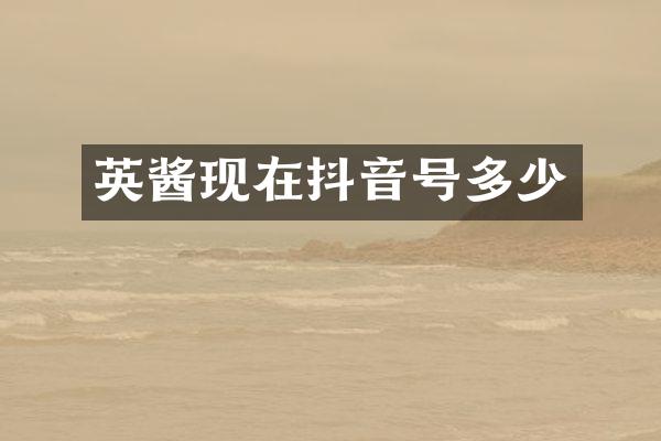 英酱现在抖音号多少