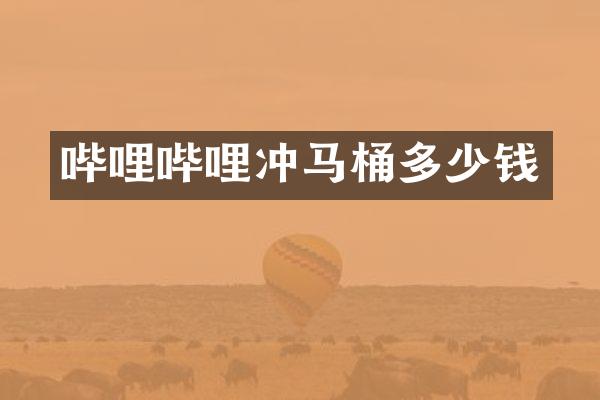 哔哩哔哩冲马桶多少钱