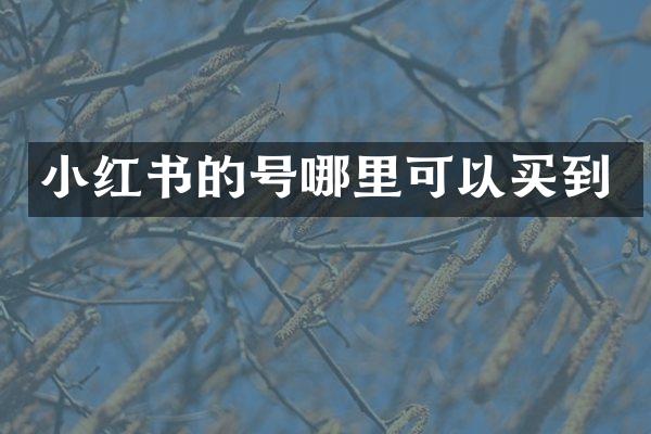 小红书的号哪里可以买到