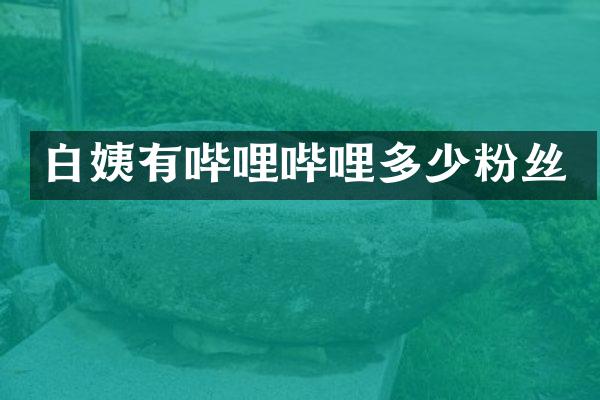 白姨有哔哩哔哩多少粉丝