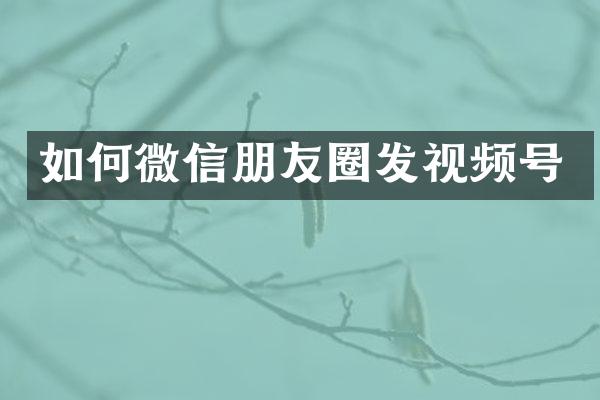 如何微信朋友圈发视频号