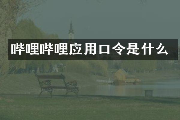 哔哩哔哩应用口令是什么