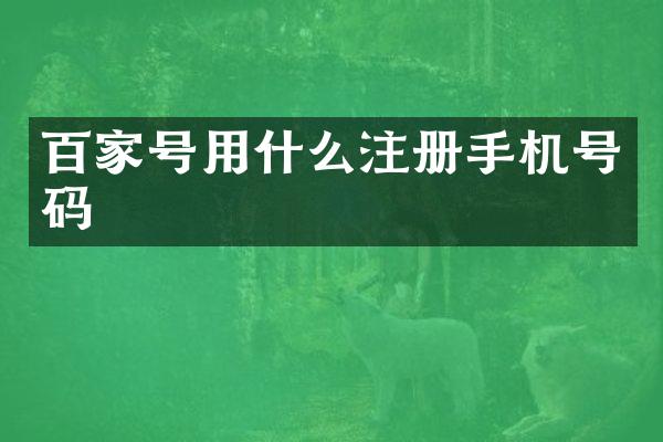 百家号用什么注册手机号码