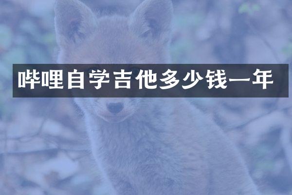 哔哩自学吉他多少钱一年