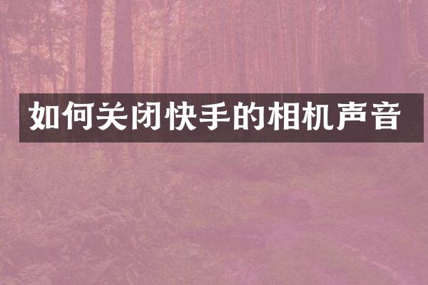 如何关闭快手的相机声音