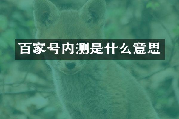 百家号内测是什么意思