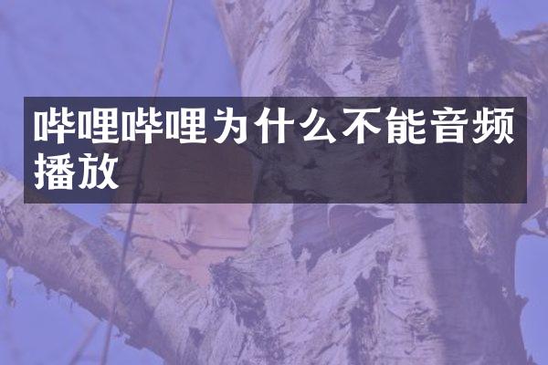 哔哩哔哩为什么不能音频播放