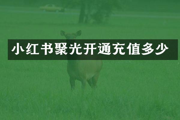 小红书聚光开通充值多少