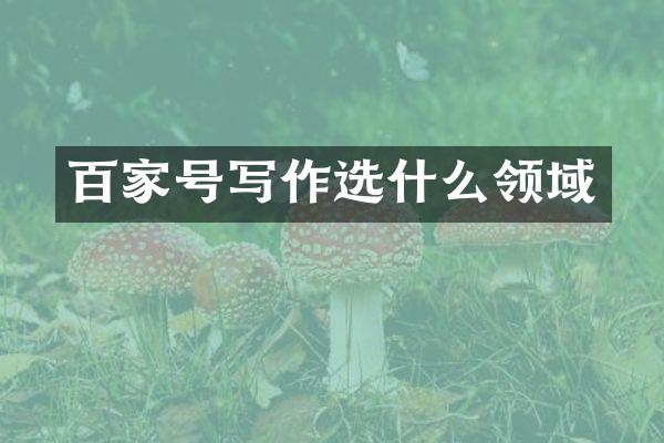 百家号写作选什么领域