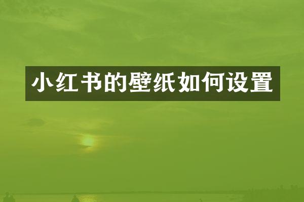 小红书的壁纸如何设置