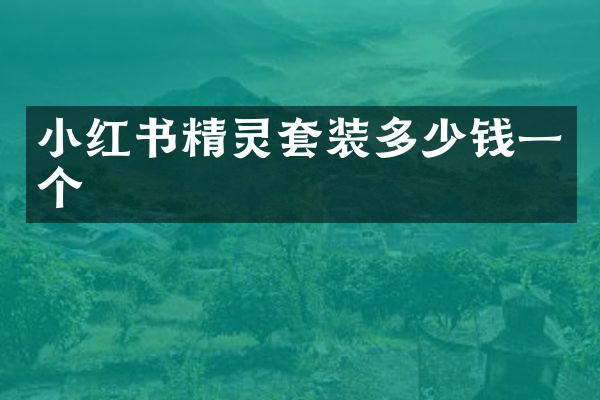 小红书精灵套装多少钱一个
