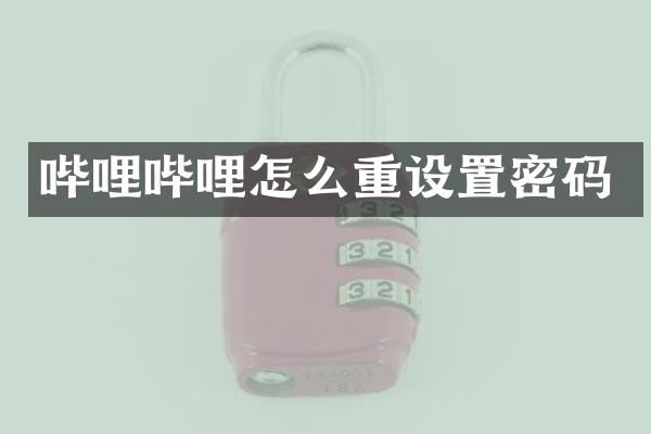 哔哩哔哩怎么重设置密码