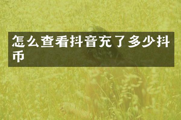 怎么查看抖音充了多少抖币