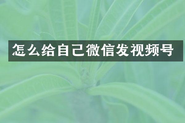 怎么给自己微信发视频号