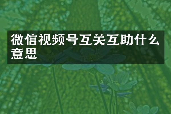 微信视频号互关互助什么意思