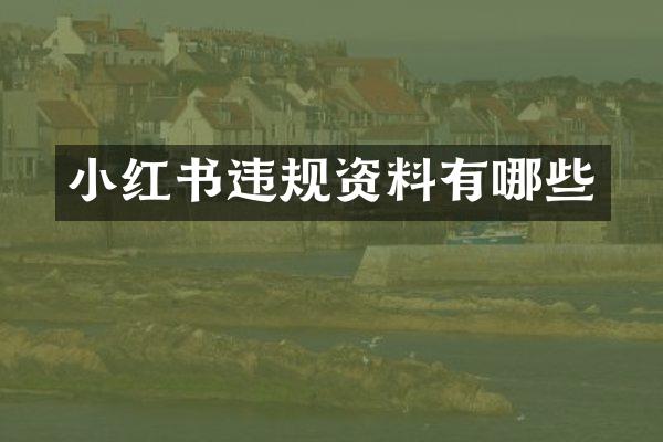 小红书违规资料有哪些