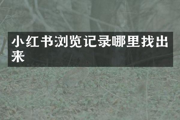 小红书浏览记录哪里找出来