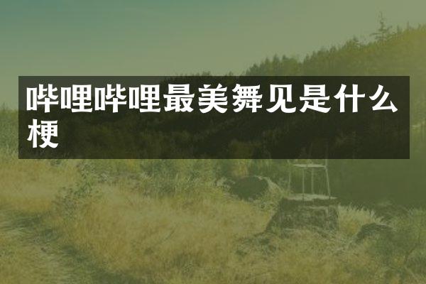 哔哩哔哩最美舞见是什么梗
