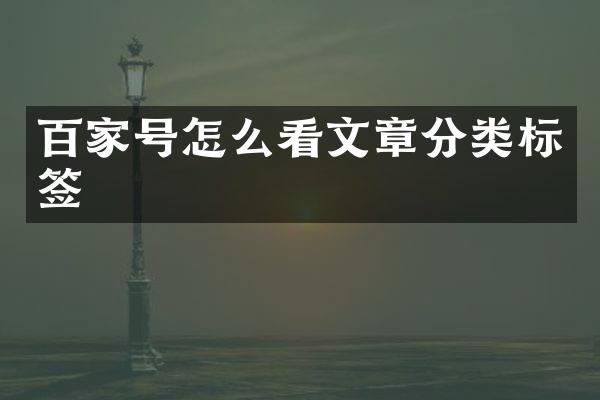 百家号怎么看文章分类标签