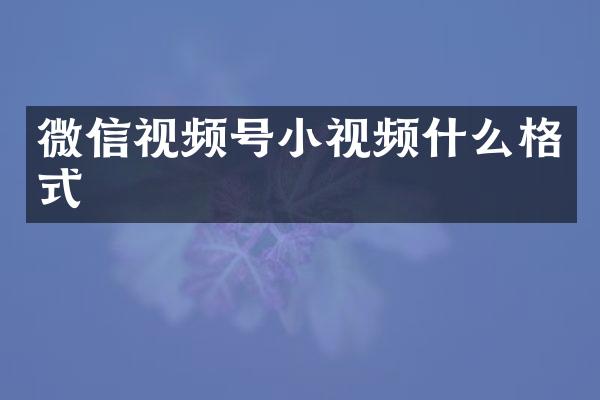 微信视频号小视频什么格式