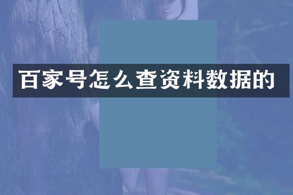 百家号怎么查资料数据的