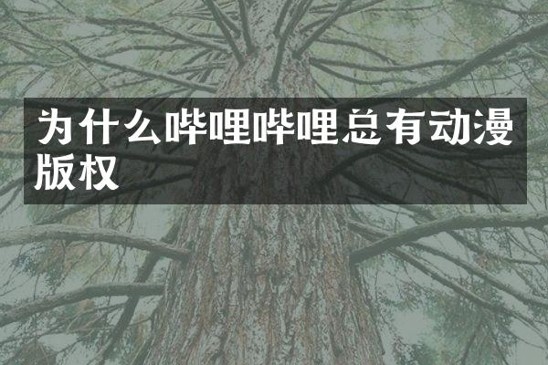 为什么哔哩哔哩总有动漫版权