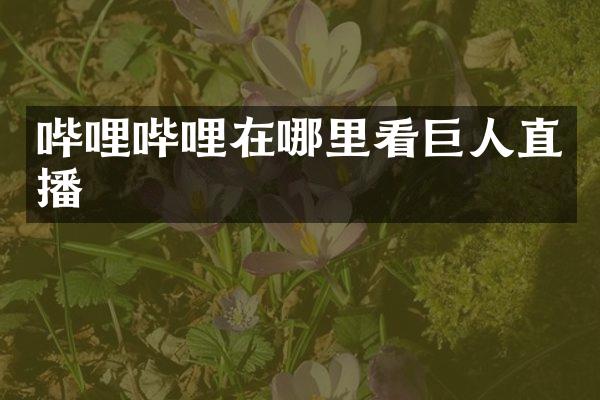 哔哩哔哩在哪里看巨人直播