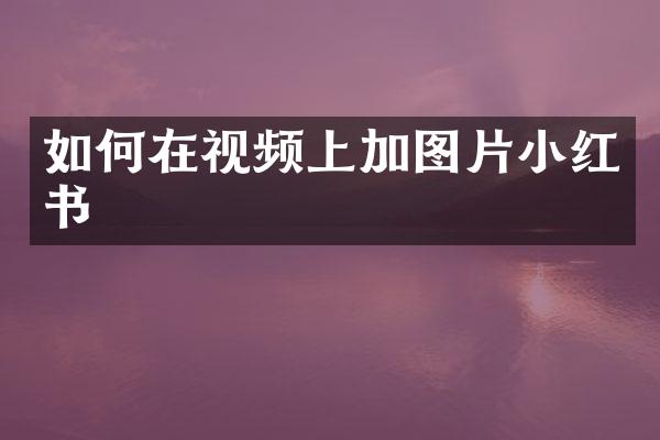 如何在视频上加图片小红书