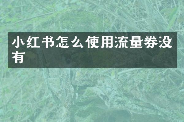 小红书怎么使用流量券没有